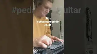 #pedalsteelguitar etude