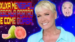 Xuxa sobe em grade de aeroporto para colher goiaba direto do pé