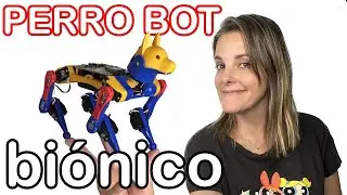 mascota robot PETOI Bittle + Nybble