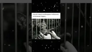 Глобальное потепление