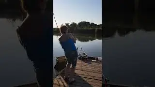 Карпфишинг.Самый верный напарник. Часть 2                                  Водопадный 2019