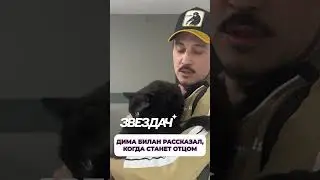 Дима Билан рассказал, когда станет отцом 