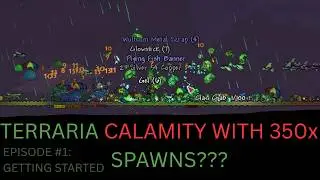 Terraria Calamity but with 350x SPAWNS??