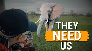 𝐌𝐚𝐤𝐢𝐧𝐠 𝐚 𝐑𝐞𝐚𝐥 𝐃𝐢𝐟𝐟𝐞𝐫𝐞𝐧𝐜𝐞 𝐨𝐧 𝐒𝐚𝐟𝐚𝐫𝐢