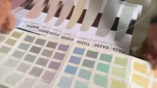 We Are Color  - Cartella Element