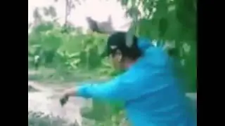 JUDI SABUNG AYAM KOCAR KACIR DI GREBEK POLISI