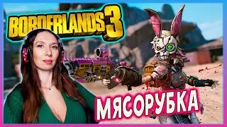 BORDERLANDS 3 - ПРОХОЖДЕНИЕ С НУЛЯ В КООПЕ №3