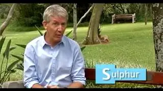 The health benefits of Sulphur