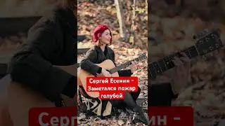 Заметался пожар голубой - cover by Ольга Носкова