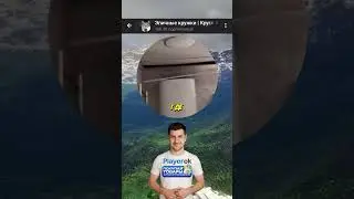 Коты – это одни из самых популярных и любимых домашних животных в мире 😺 