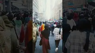 palestine Protesters flood the street on 5th ave 