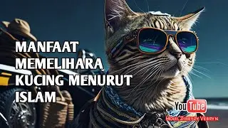 Manfaat Memelihara Kucing Menurut Islam