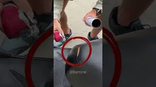 Esse remendo mágico deixa qualquer couro FURADO novo em folha!😱😵