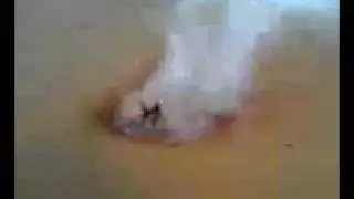 اشياء غريبة تخرج من تحت الارض