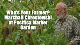 Who's Your Farmer? Marshall Chrostowski at Pacifica Market Garden