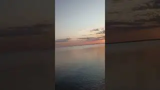 Эх #медузы медузки #море