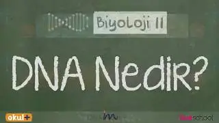 DNA Nedir