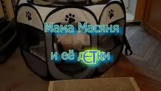 Мама Масяня и её детки  Продолжение