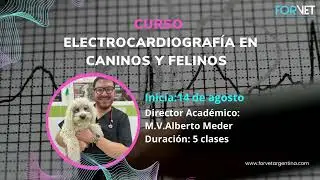 AGOSTO ! en FORVET .