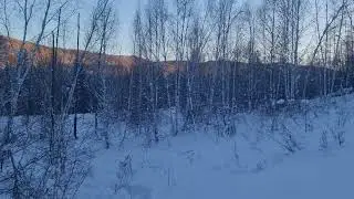 охота на косулю Тыва 23-24г