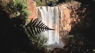 Beautiful Mysterious Music: Something Peculiar