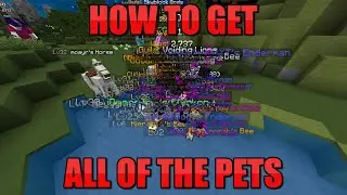 How To Get All Of The Pets | Hypixel SkyBlock