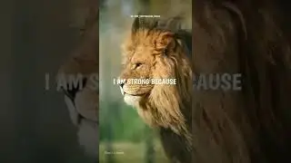 Attitude status tiger | lion attitude status💪💪💪