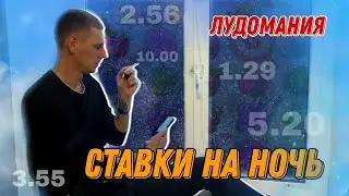 Жизнь лудомана. Ставки на ночь #лудомания