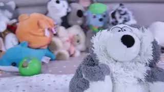 прикол Данилакс ТВ