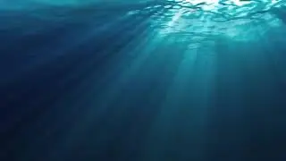 CarValet Underwater loop HD