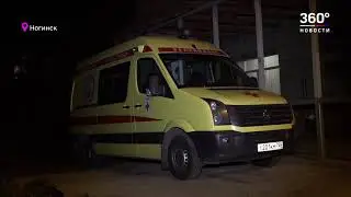Детский омбудсмен рассказал подробности о нападении бродячей собаки на ребенка в Ногинске