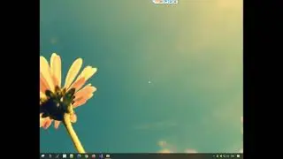 Windows: Copy specific types of files from multiple folders into a single folder using Copywhiz