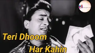Teri Dhoom Har Kahin