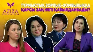 Тұрмыстық зорлық-зомбылық туралы заң неге қабылданбады