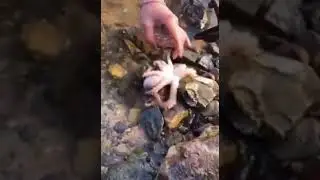Keren Ternyata Hidup Di Pantai itu sangat indah..!!