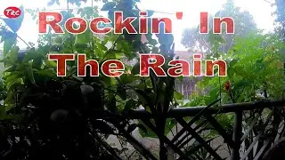 Rockin' In The Rain.