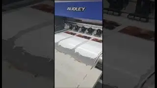 Демонстрация работы принтера для DTF печати AUDLEY (DTFSTAR) ZX6002, (комплект с шейкер сушкой)