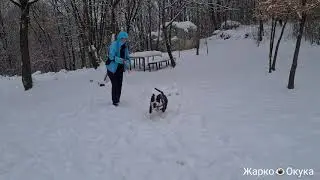 Zimski uspon do planinarskog doma Sveti Bernard.