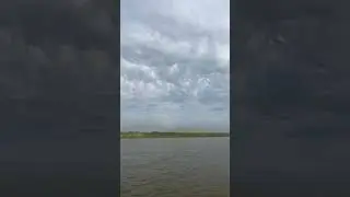 25 июня 2024. Встала на крыло