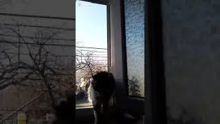 я знаю що я получу...