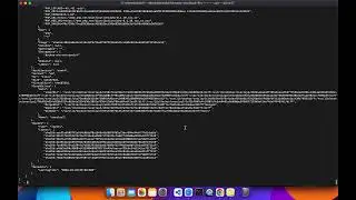 Docker : Inspect image