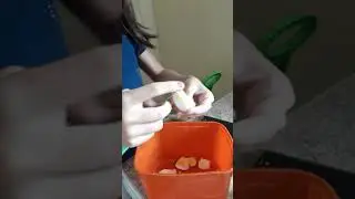 Rotina da manhã parte 2