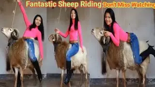 Beautiful Girls Sheep riding new video please subscribe 
