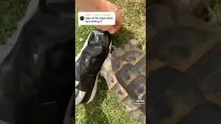 Tommy vs Black Tape