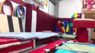 Adam Tobin double Arabian