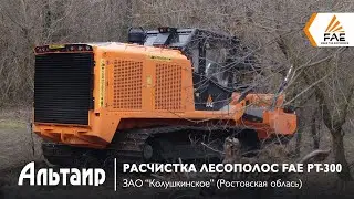 FAE PT-300 принимается за расчистку лесополос в ЗАО «Колушкинское»