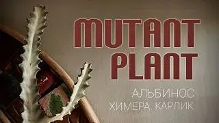 MUTANT PLANTS