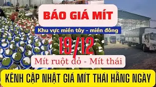 Giá mít hôm nay - Giá mít thái mít ruột đỏ ngày 19/12/2022