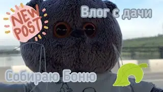 Влог с дачи с басиком Боней | собираемся #поляибоня #влог #дача #собираю