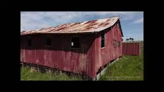 The Shearing Shed @ Kulathirrie 2022
